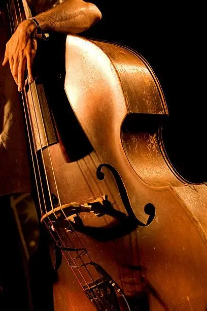 l harmonie - contrebasse